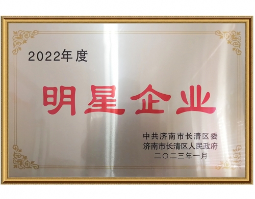 2022年度明星企业