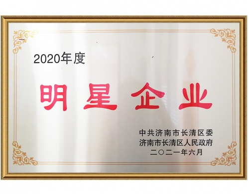 2020年度明星企业